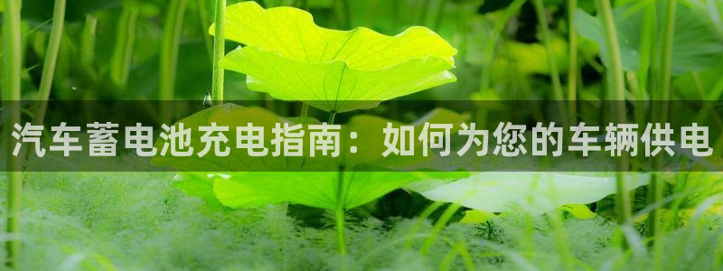 优发国际集团股份有限公司官网