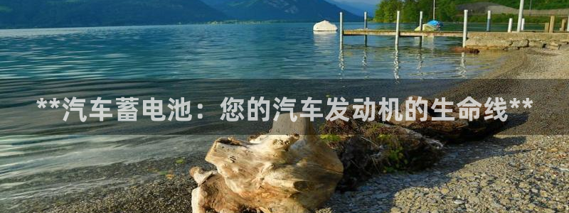 优发国际官网qy88
