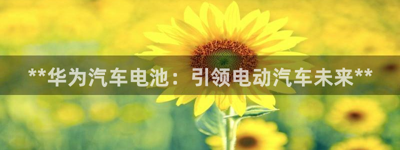 优发国际手机版唯一官网是什么