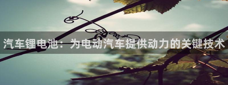 优发国际手机版客户端