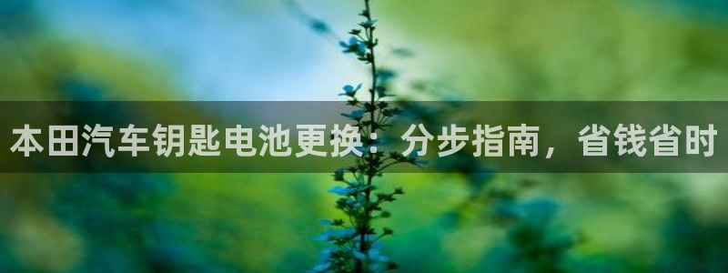 优发国际平台u8是什么公司