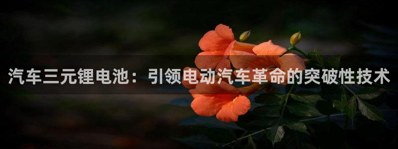 优发国际手机客户端官网
