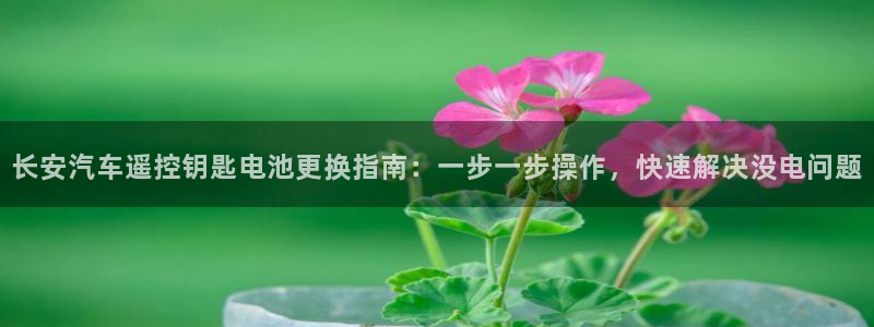 优发国际不出款怎么办