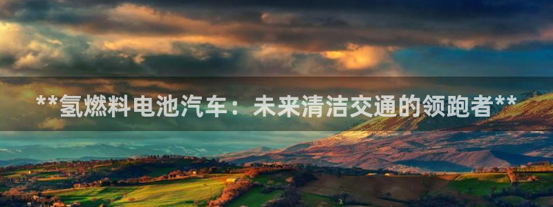 优发国际是大平台吗还是小平