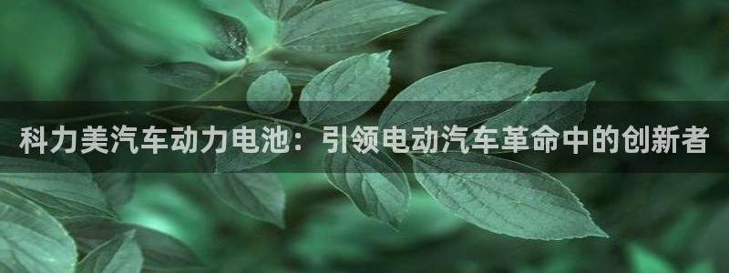 优发国际平台u8