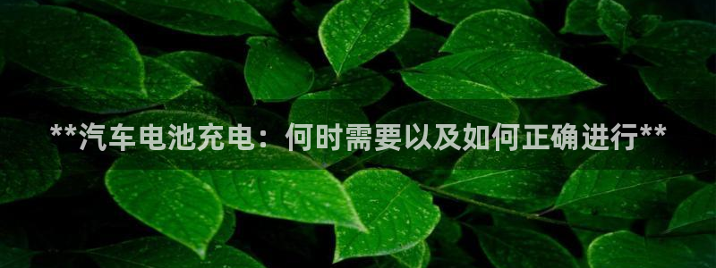 优发国际是大平台吗