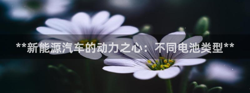 优发国际客服联系方式是什么