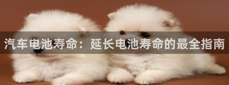 优发国际网页