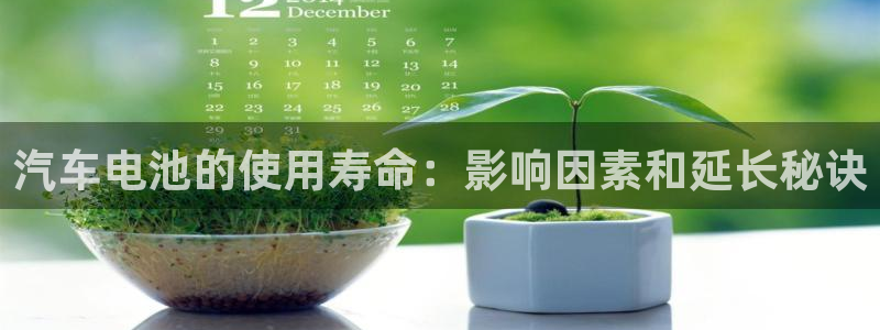 优发国际多少钱