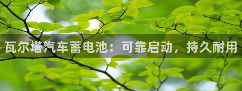 优发国际游戏17
