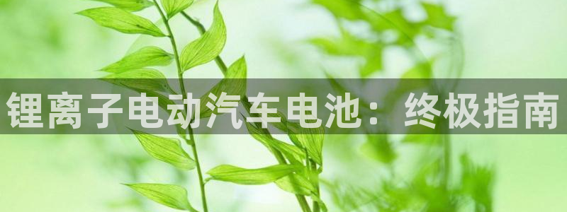 优发国际官网平台