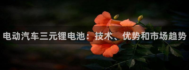 优发国际手机版官网入口
