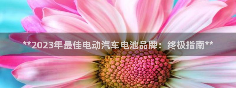 优发国际的网站是