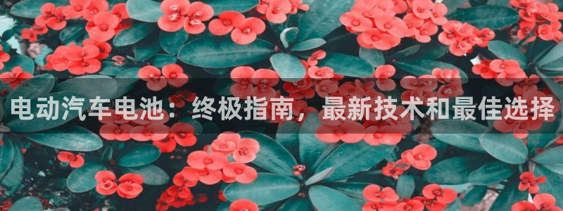 优发国际官网手机版入口