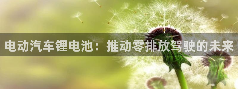优发国际平台网站