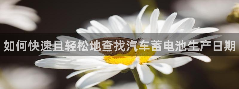 优发娱乐国际线上
