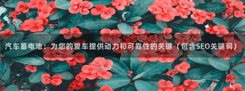 优发国际一首页