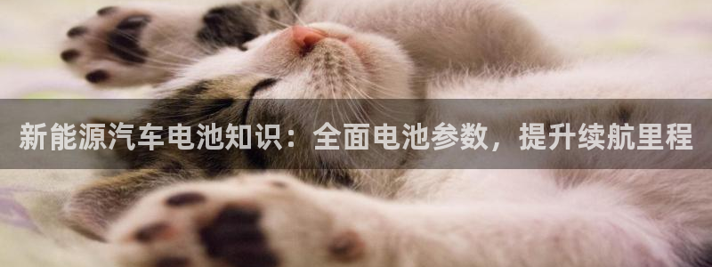 优发国际平台app下载官网