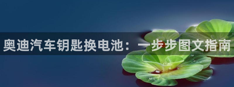 优发国际电话