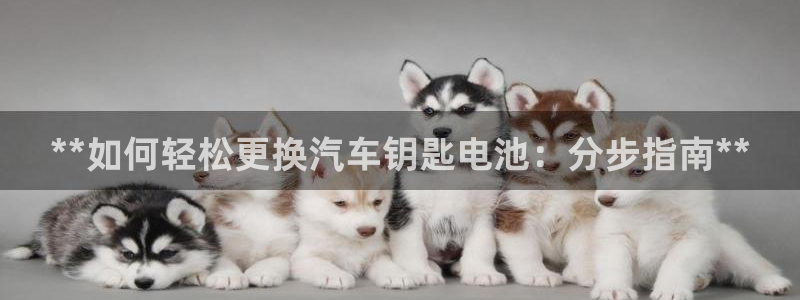 优发国际手机客户端下载不了