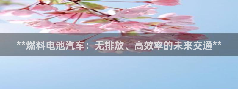 优发娱乐pc版官网