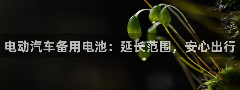 优发国际集团股份有限公司是国企吗