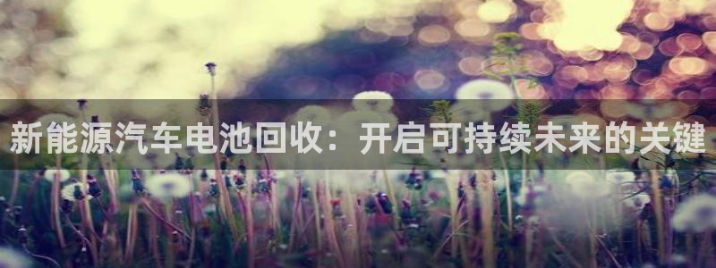 优发国际不出款怎么办
