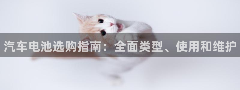 优发国际网站