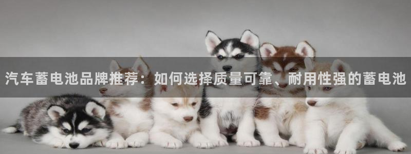 优发国际手机版官网