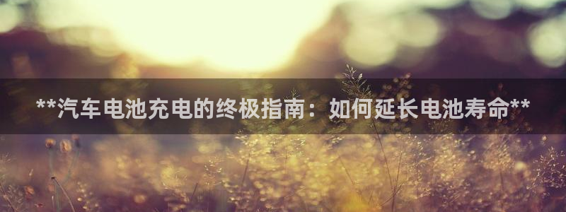 优发国际app官网下载安装手机版