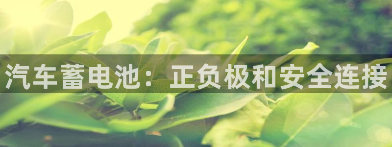 优发国际平台u8是什么