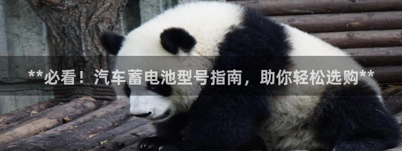 优发国际的网站是