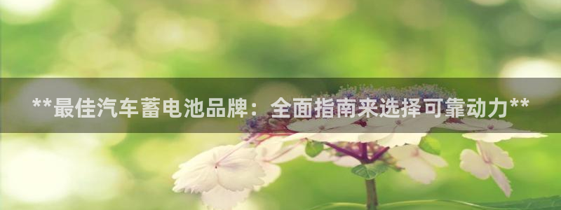 优发国际娱乐官网多少?