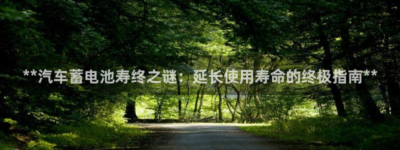 优发国际平台手机版下载官网