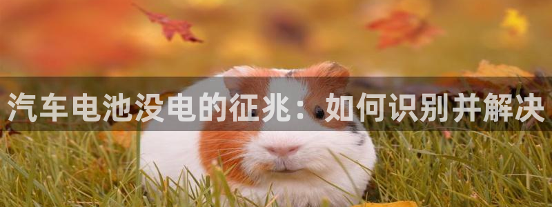 优发国际客服联系方式电话