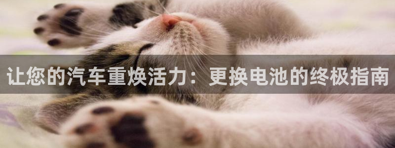 优发国际注册平台