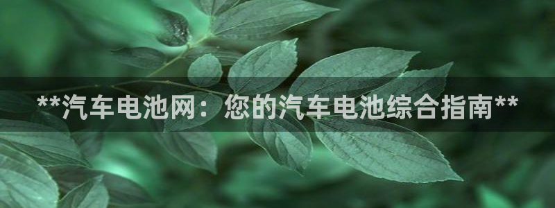 优发国际安卓版下载安装最新版