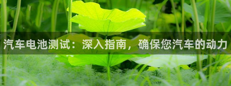 优发国际注册平台官网