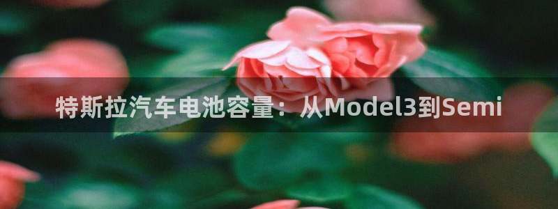 优发国际线上娱官网