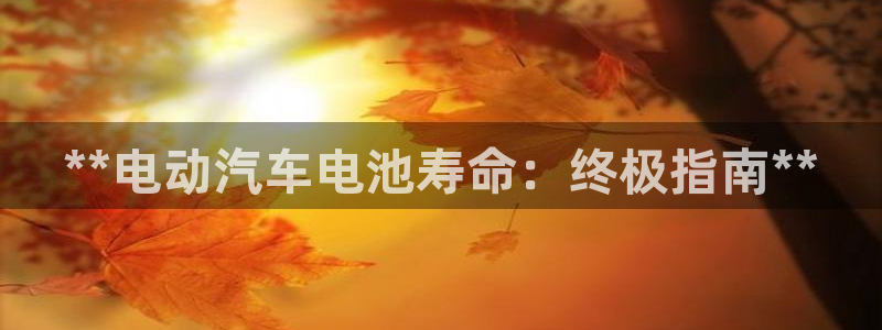 优发国际官方网手机版下载安卓