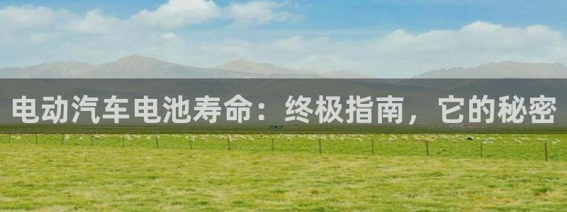 优发国际手机客户端下载安装