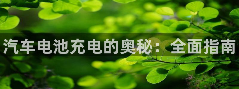 优发国际下载安装