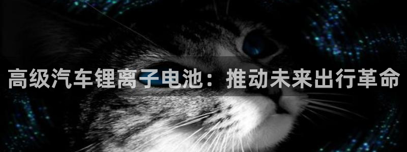 优发国际平台u8是什么公司
