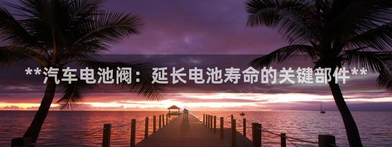 优发国际平台u8是什么