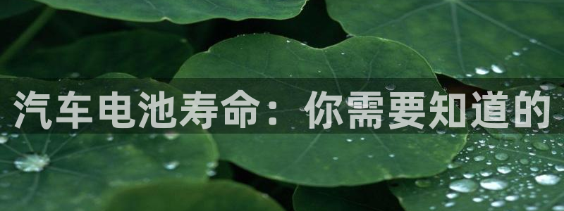优发国际平台网站