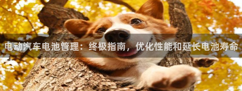 优发娱乐国际线上营业时间