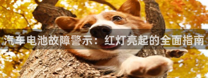 优发国际官方网手机版下载苹果