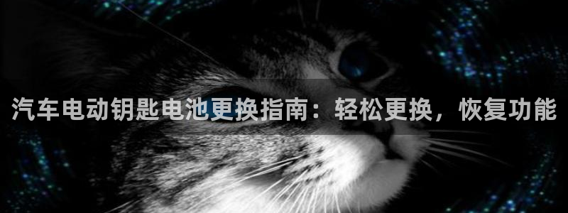 优发国际手机客户端app