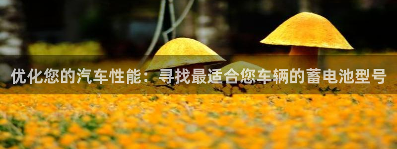 优发国际网官网