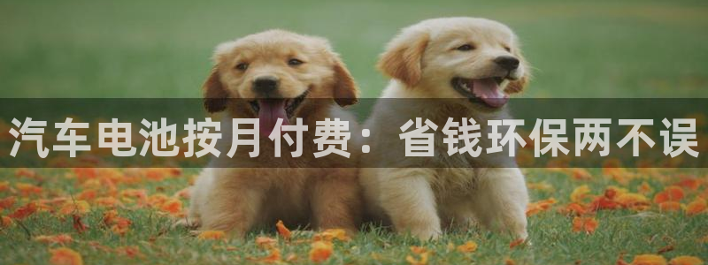 优发国际官网入口app下载安装